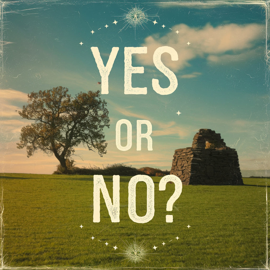 3 yes or no questions